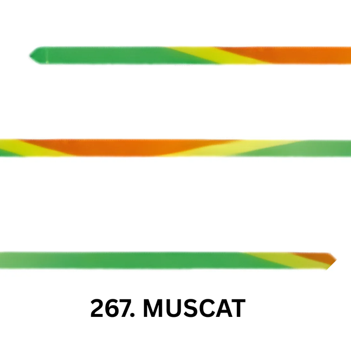 Listón de 6m Chacott Degradado Aprobado por la FIG