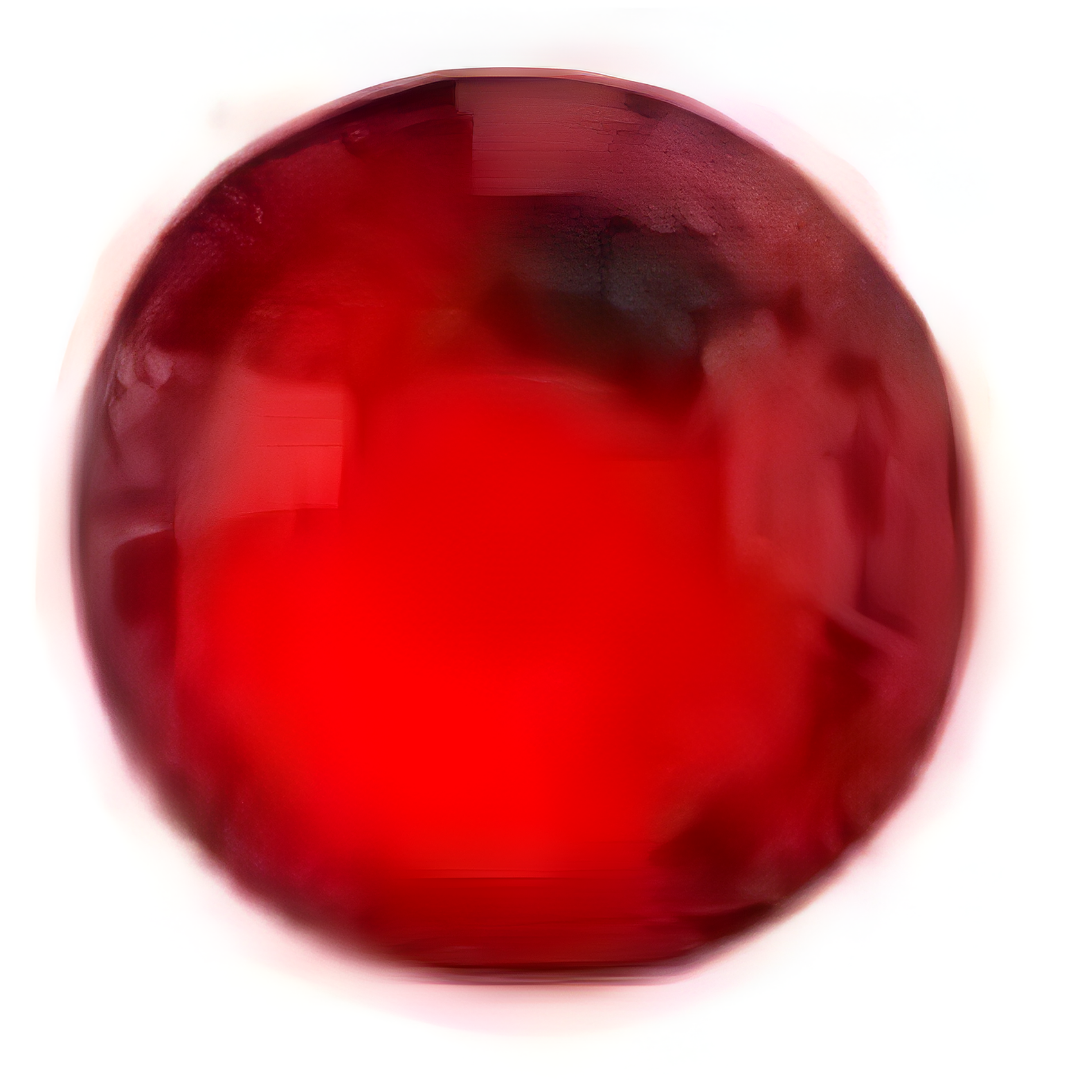 Cristal Gimnasiashop Economica Ss20