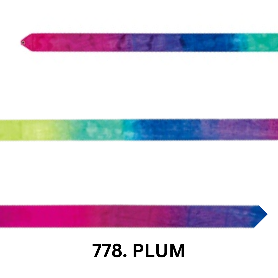 Listón de 4m Chacott Degradado
