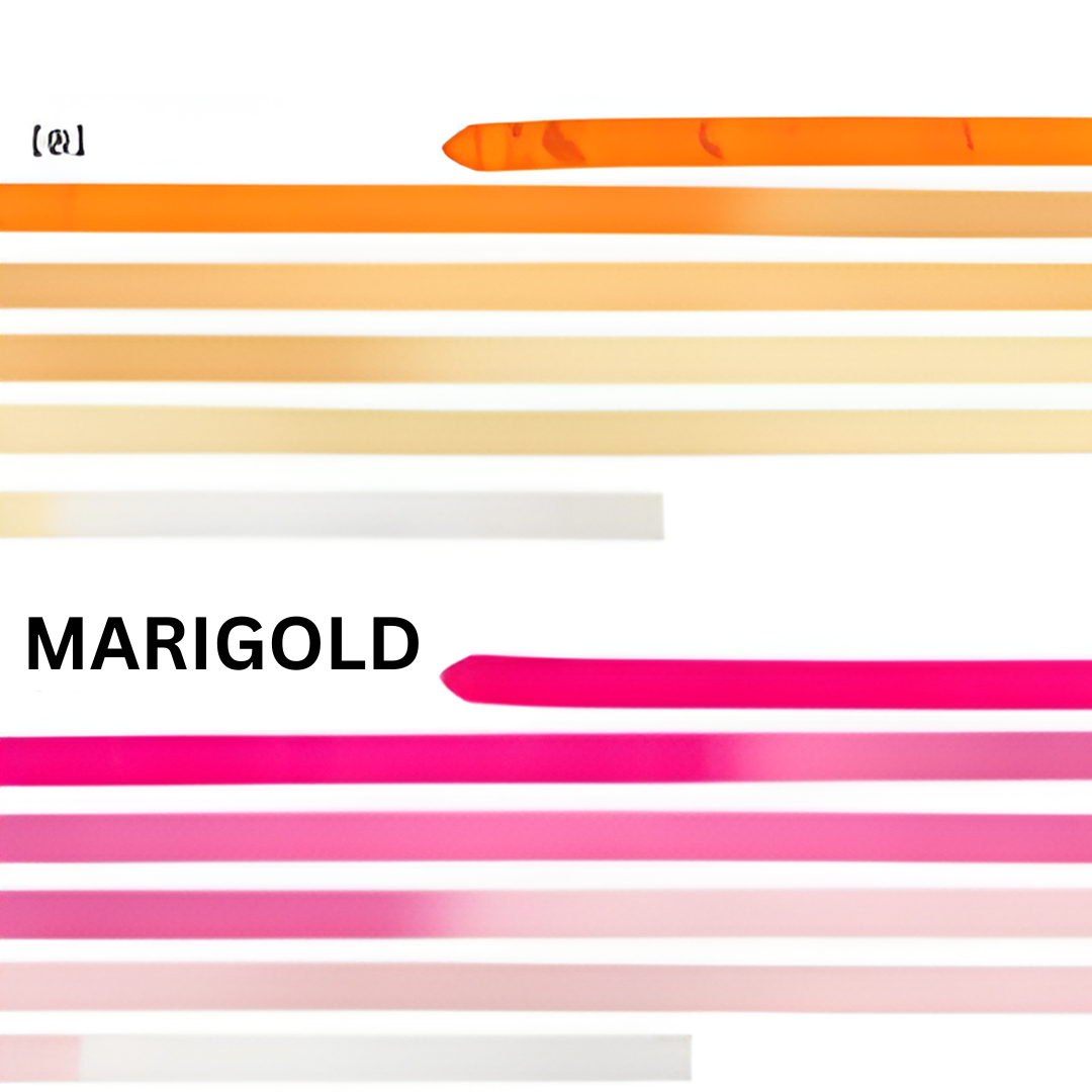 Listón de 6m Chacott Infinito Doble Vista Aprobado por la FIG