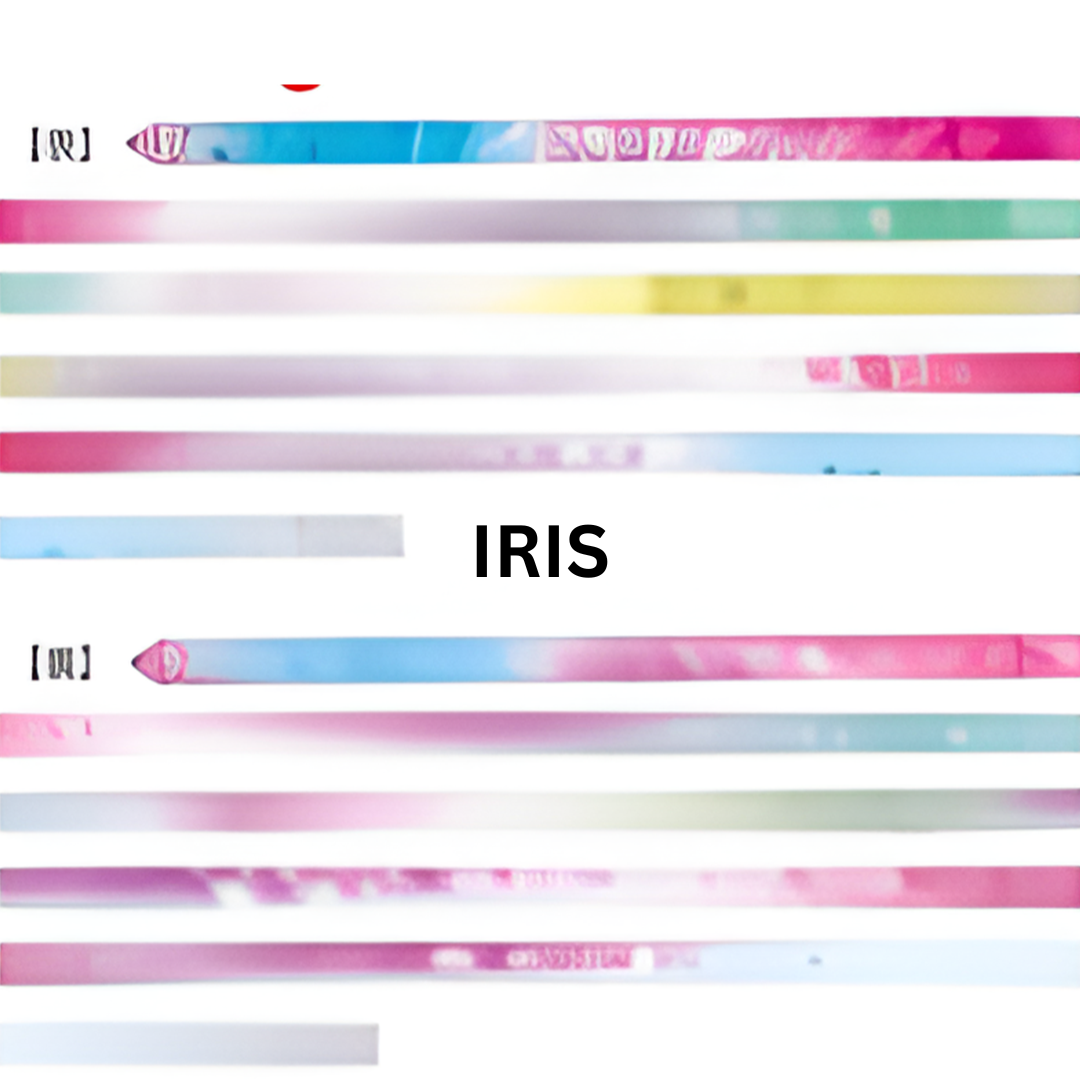 Listón de 6m Chacott Infinito Doble Vista Aprobado por la FIG